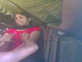 Pornographic film featuring a wife's denigration of an art lover