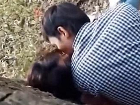 Indian couples discovered engaging in intimate activities at the park