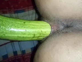 A husband pleasuring his Indian wife with a large cucumber and she enjoys it