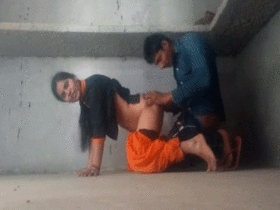 A woman of Indian descent has intense sexual relations with her colleague