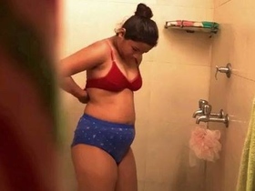 Hidden camera captures Desi's roommate's naughty bathroom antics