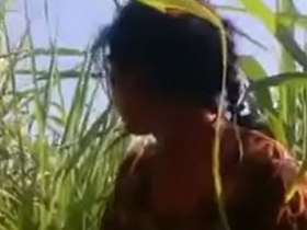 Bihari girl's wild sex in the fields with Ganne