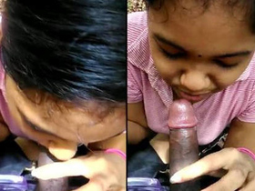 Tamil-speaking couple enjoys jungle blowjob on camera