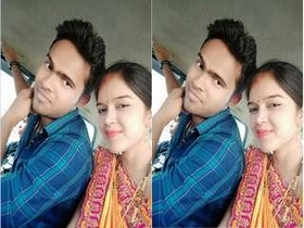 Desi couple's steamy romance and sexual intercourse