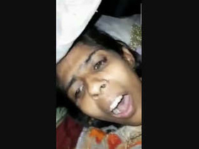 Unruly trio engages in unpaid backwoods romp