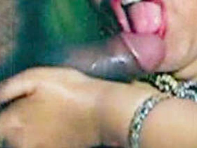 Desi bhabhi Kamini's steamy video in HD
