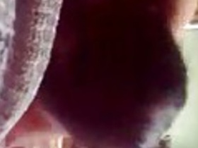 Experience the ultimate pleasure with this Love Love Love Love video