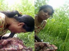 A Desi couple's outdoor sexcapade in HD video