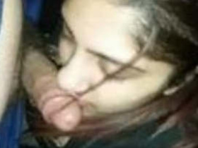 Gorgeous sister gives a sensual oral pleasure