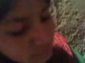 Amateur video of Kashmiri village sister and cousin having sex